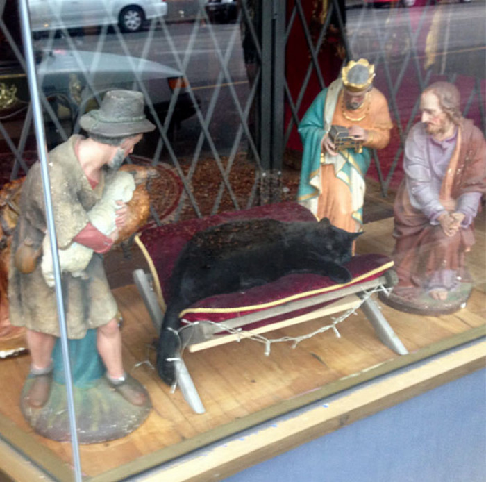 40. "No Room For Baby Jesus"