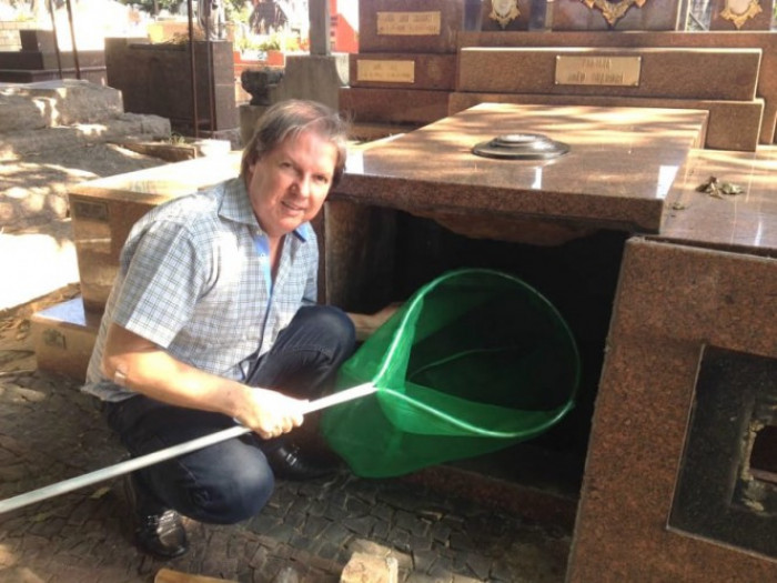 Thankfully, though, this Brazilian man was not petrified. Instead, he got up close and realized the sound was coming from a kitty trapped inside the tomb.