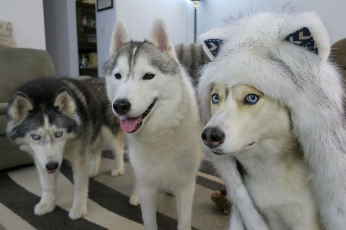 2. Do they notice me?