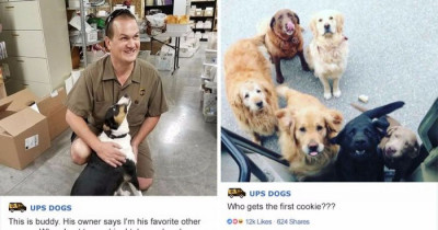 Facebook Group Dedicated To UPS Drivers And The Dogs They Meet While Delivering Orders Is Wholesome As Heck