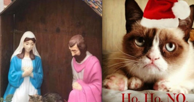 How One Grumpy Kitty's Glare From A Nativity Scene Accidentally Spread A Whole Ton Of Holiday Cheer