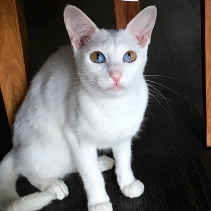 It's hard not to gush over these gorgeous eyes!