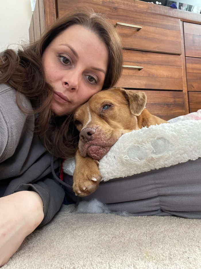 Stevie and his foster family