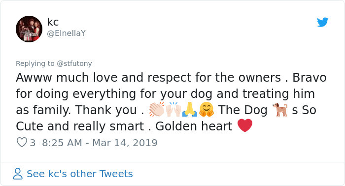 Respect for the owners of this dog flooded in.