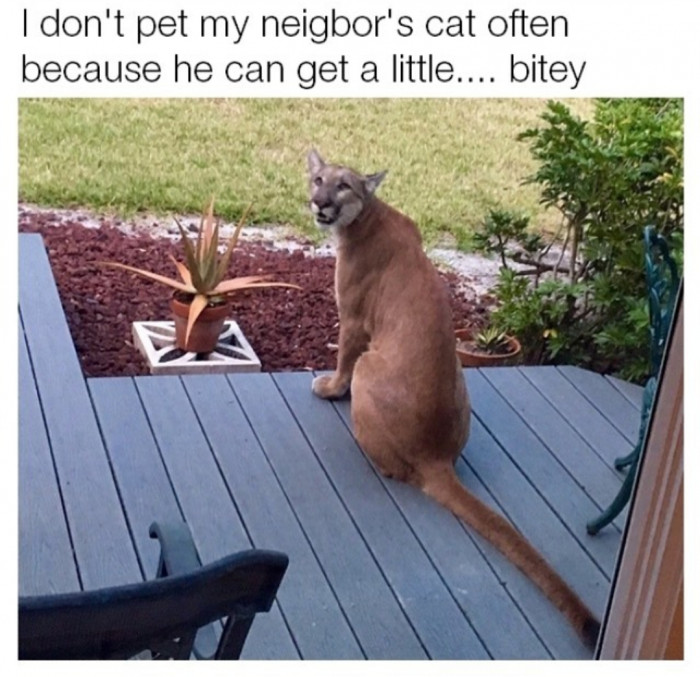 Those Are Love Bites.