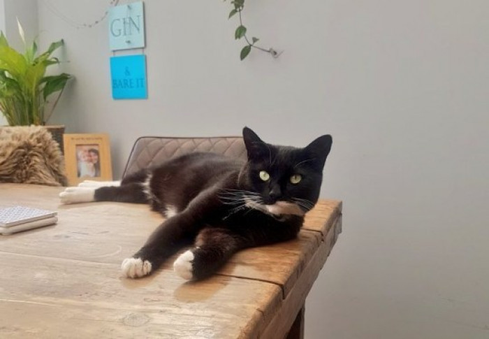 16. Just chillin’