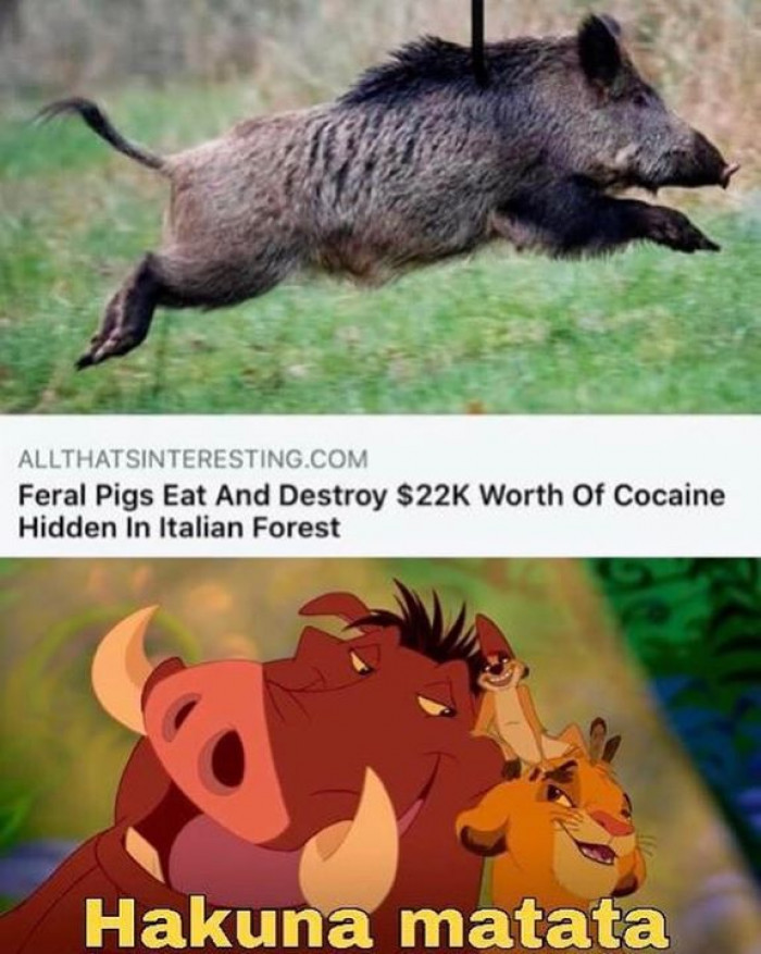 13.