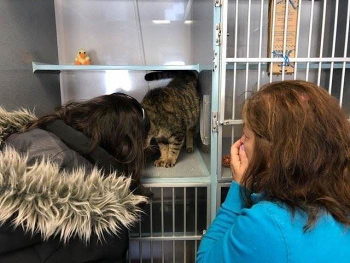 Shelter background with adoption signage, capturing the reunion announcement setting.
