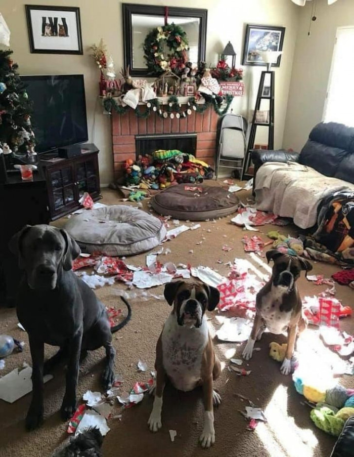 8. "We panicked!"