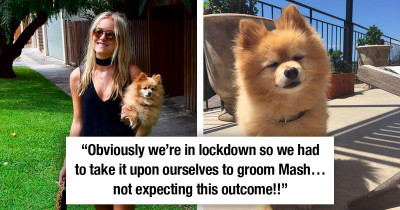 Fluffy Dog Transforms Into A Funny Looking Creature After Woman Decides To Groom Her In Self-Isolation