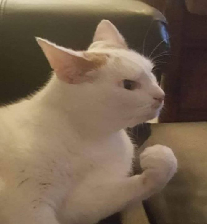 6. He will PAUNCH you