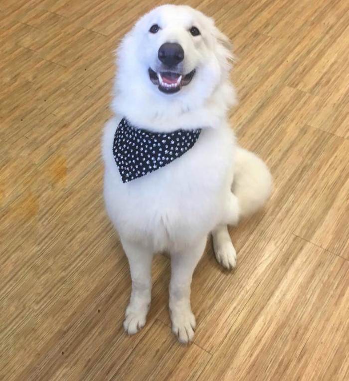 val and sharna dating