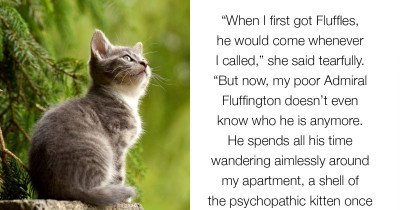Cats With Twenty Nicknames Struggle With Identity Crisis As They Stop Responding To All of Their Names
