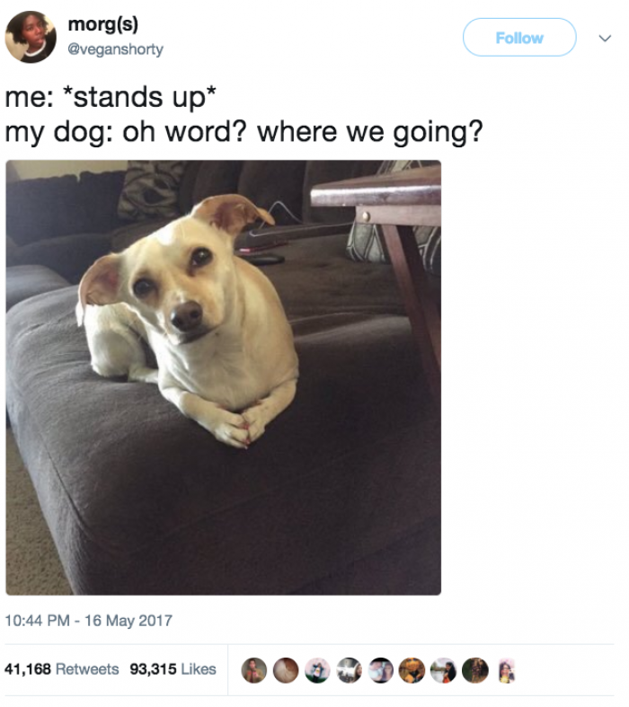 9. Boi, sit yo a$$ down