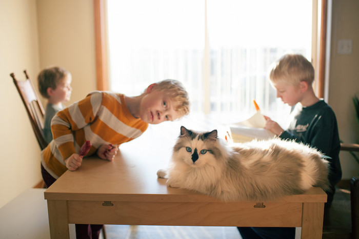 She hopes to keep working on it indefinitely, forever.