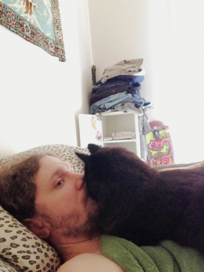 12. They say cats aren't trouble at all. Wait until you get one.