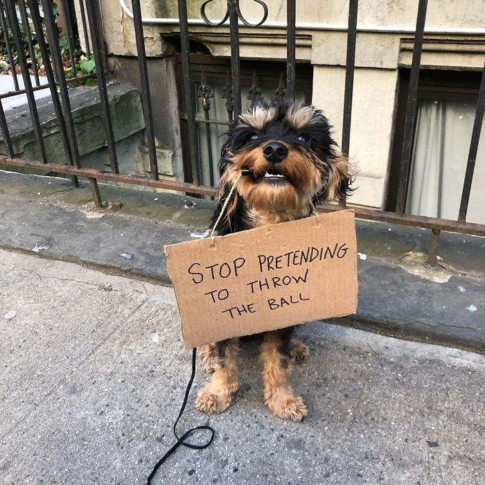 It's not funny, humans