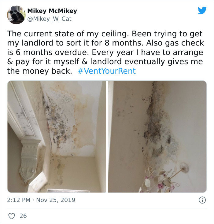 20. The current state of my ceiling