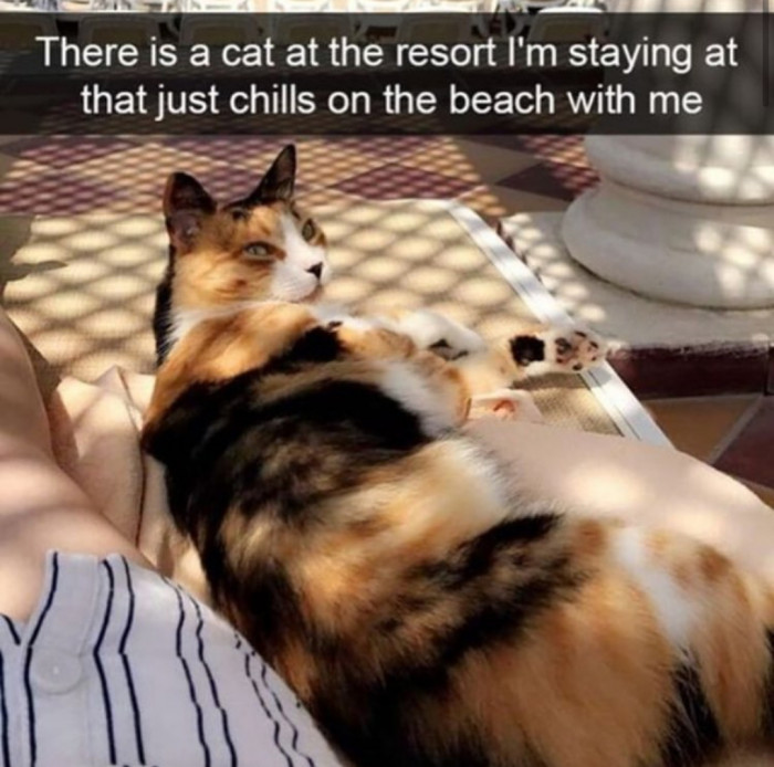 My kind of vacation.