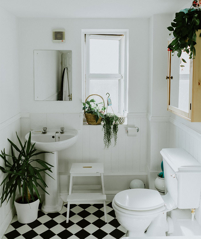 5. This is the one, guys.