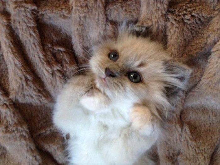 12. Cuteness overload!!!