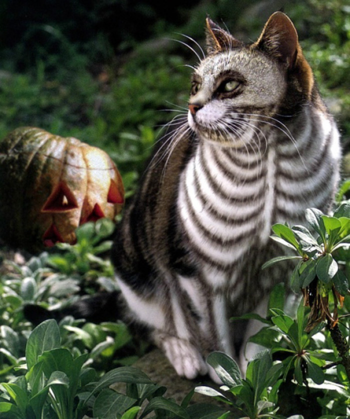 Spooky Skeleton