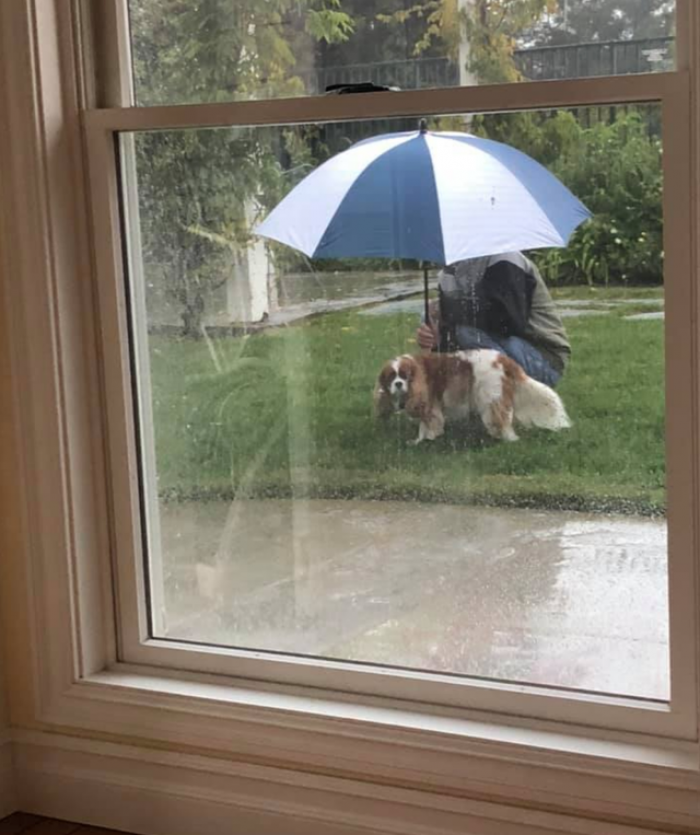 14. "Another dad who didn't want a dog."