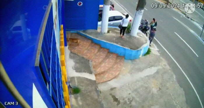 And finally, she reached the doors of the clinic safely.