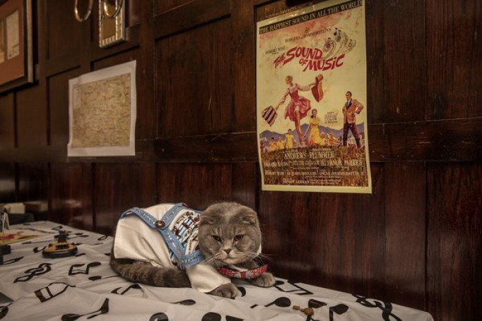 13. The Sound of Music