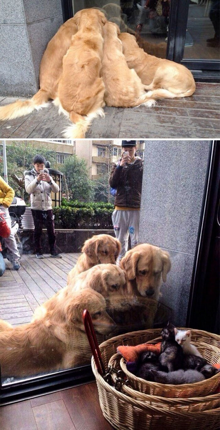 1. It doesn't take much to entertain them.
