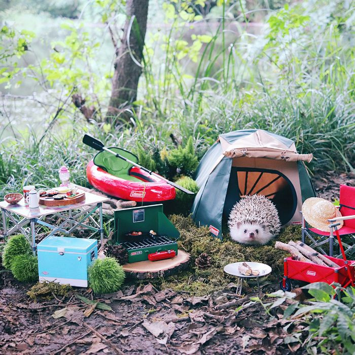 Everything you need for a getaway.
