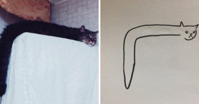 These Poor Cat Drawings Will Absolutely Crack You Up and Make Your Day a Bit Better