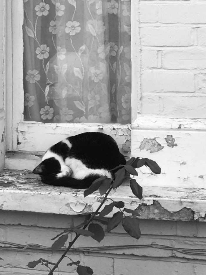 "Spotted This Black & White Dough Ball On The Way Home. 10/10 For Inspiring A Black & White Photograph"