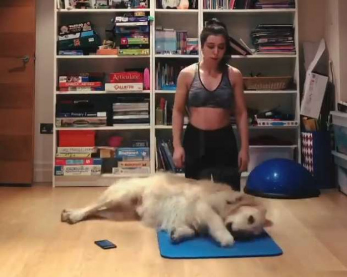 The playful dog just wouldn’t budge.