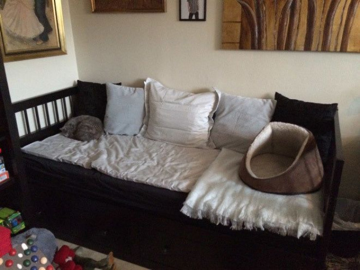 10. I deserve the best, and this human couch is way better than that thing.