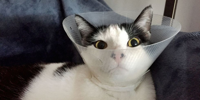 You know what I see in this face?
