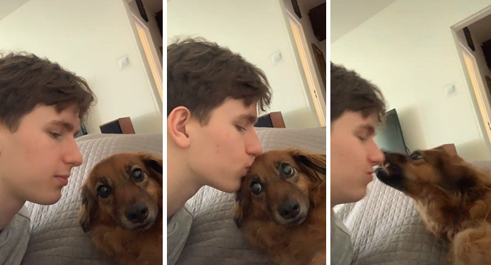 This is just one big 'he loves me... he loves me not...'