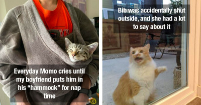 Cats Behave In The Weirdest Ways But It's Delightful For Us