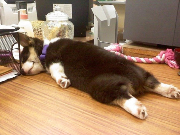 #32 Do you think he's real tired, or just kinda tired?