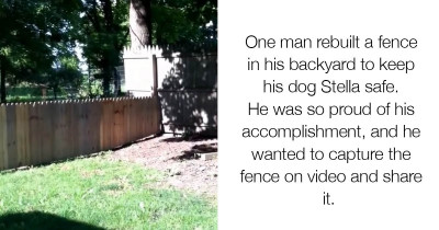 Man Builds A Fence To Make Sure His Dog Is Safe, But The Dog Proved It Useless After A Minute