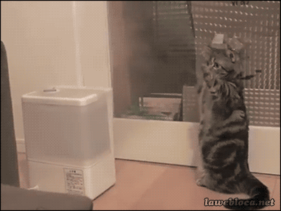9. Go away, evil spirits!