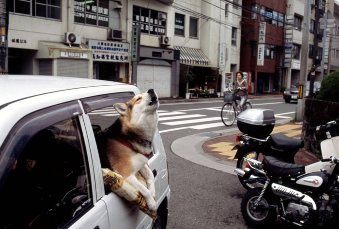 23. Kochi, Japan, 2003