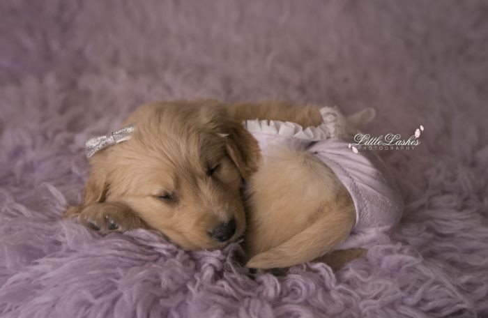 What a sweet little angel