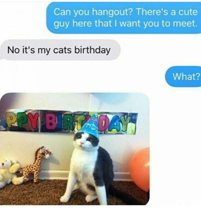 13. It's My Cat's Birthday; I Can't Come