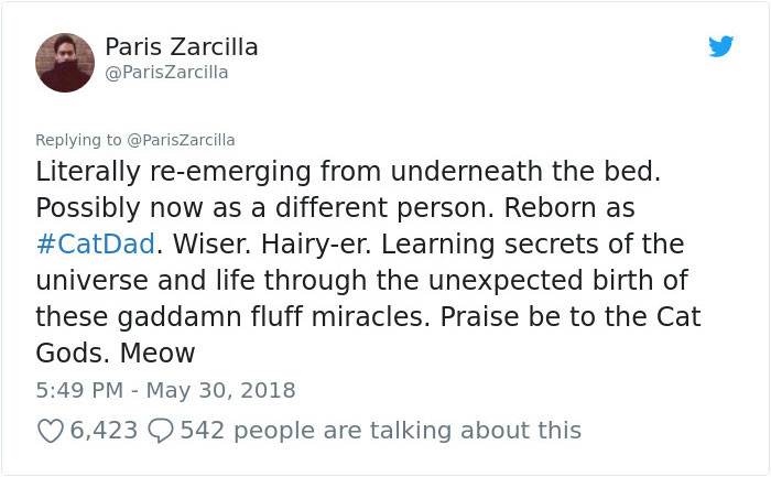 26. All praise the cat gods!