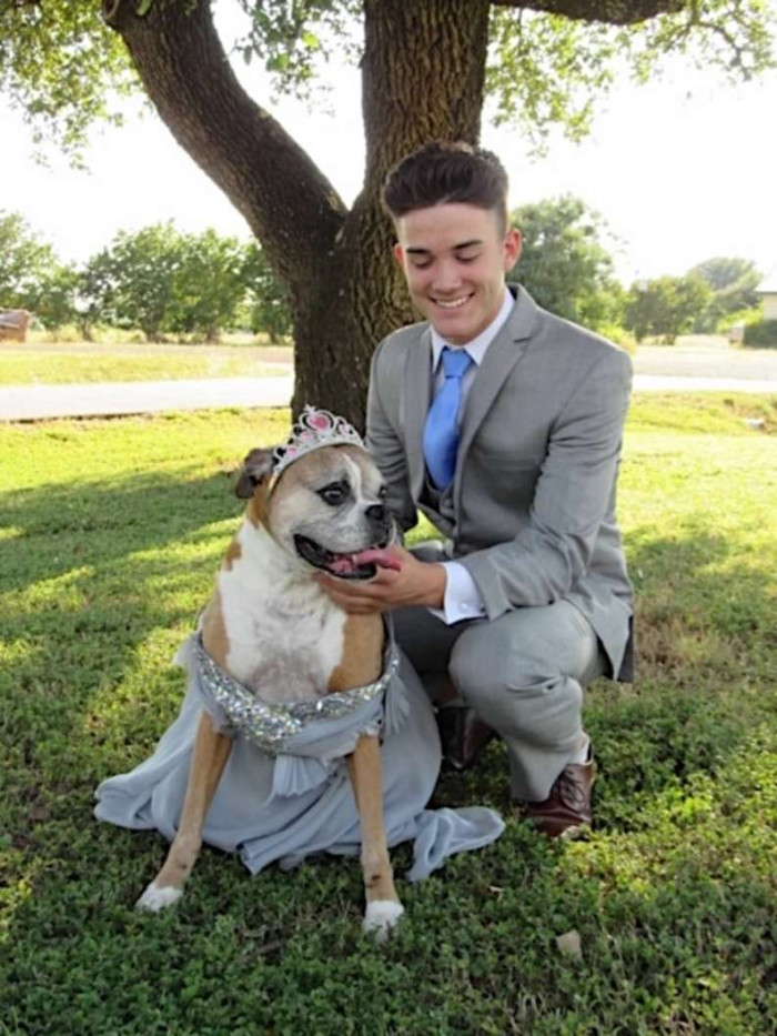 The sweet dog does look pretty happy in her prom dress!