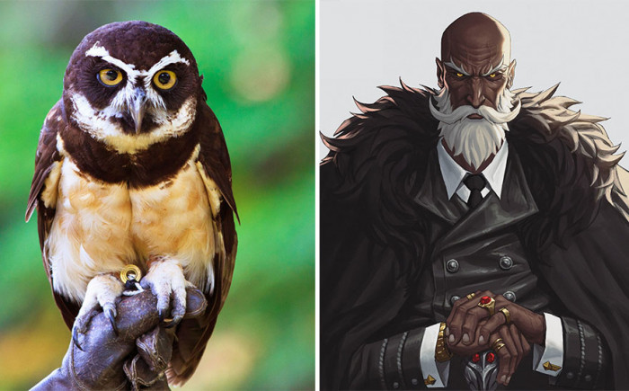 5. How cool is this Illustration of a Spectacled Owl in human form?