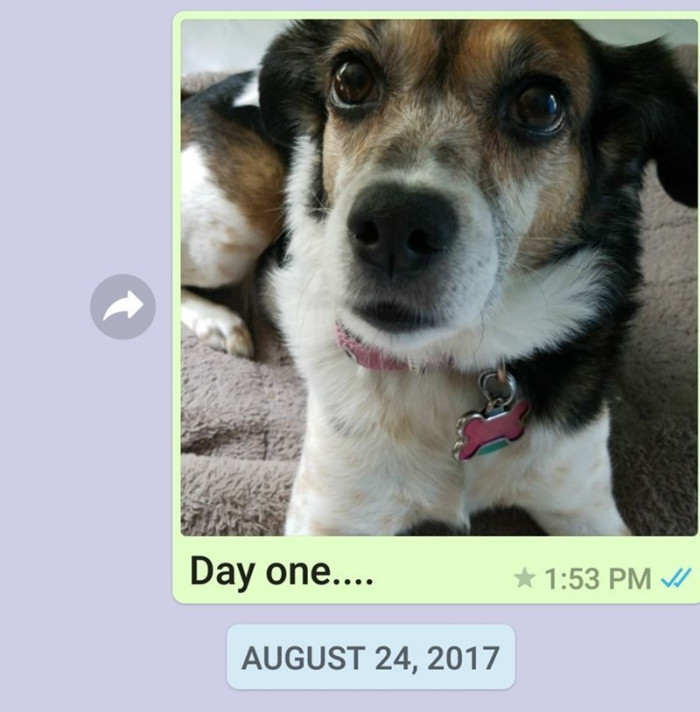 Day 1.