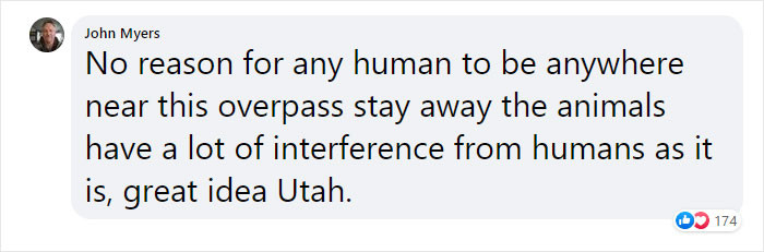 Let the animals live their lives in peace