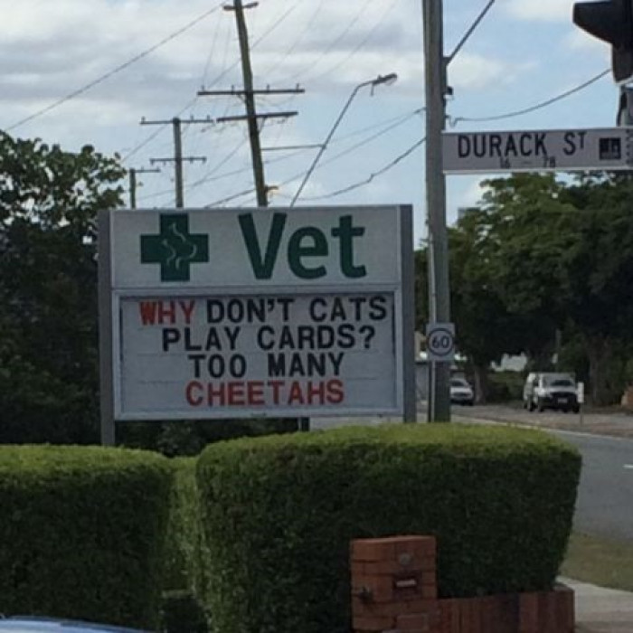 10. Ba-Dum-Tiss! Nobody likes a cheetah!